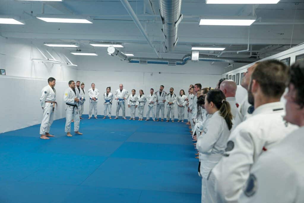 Brazilian Jiu Jitsu Program – Academy & online Training