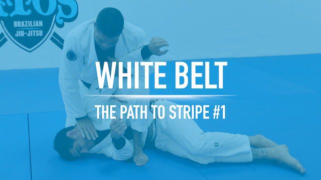 White Belt Stripe 1